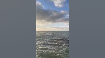 سورة الضحى#القران الكريم نور القلوب