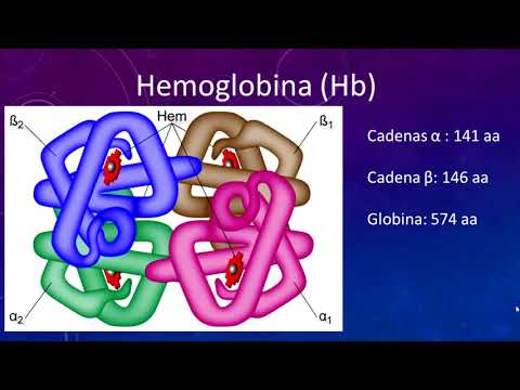 BIOQUÍMICA - PROTEINA  HEMOGLOBINA Y MIOGLOBINA / PROF. DRA.  ADRIANA DA MAIA