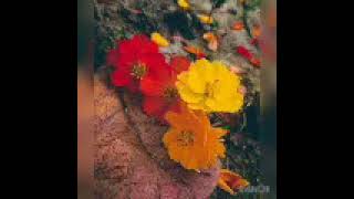Sad Music| Soft Music | Life Story |Motivational Speech New Video | Heart Touching Quotes Bangla. screenshot 5