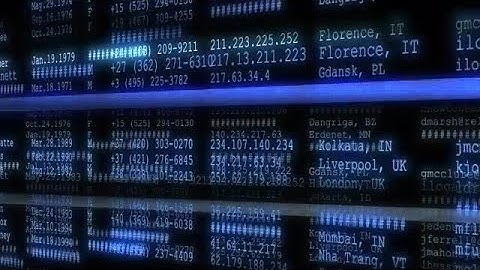 Big Data Search Stock Motion Graphics