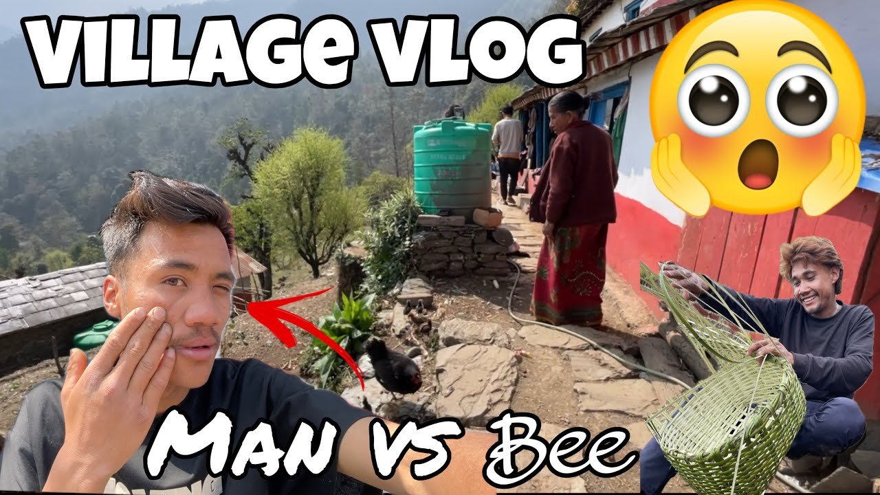 Bee Hunting Gone A Wrong ☠️||10 k 🔜 🫶|| - YouTube