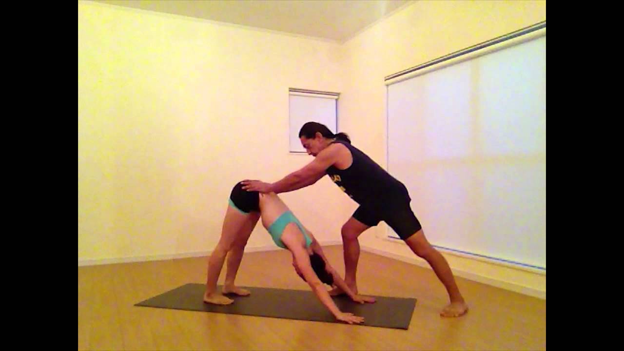 ケン ハラクマのアシュタンガヨガ プライマリシリーズ[DVD] の通販