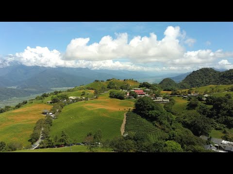 花蓮富里-六十石山-金針花季-4K畫質空拍-旅遊隨記2021/08/28