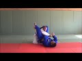 100 Really Cool Newaza techniques by Shak