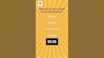 Quiz Time: Test Your Knowledge with These Fun Questions! #quiztime #quiz #quizgames #quizz