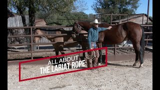 Rope Work: A tool for making a better horse