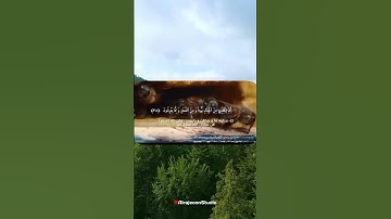 مقطعی زیبا از سوره نحل با صدای زیبای عمر هشام