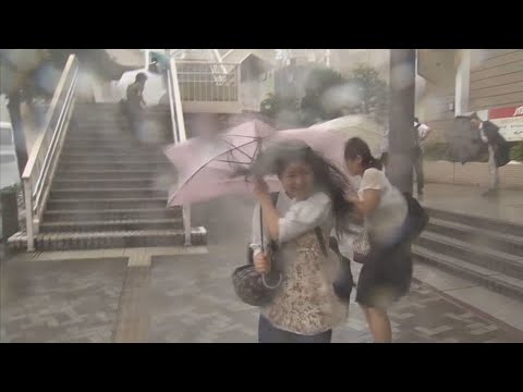 태풍 &#39;란&#39; 일본 열도 강타…전국 곳곳 피해 속출 / 연합뉴스TV (YonhapnewsTV)