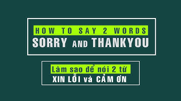 Làm sao để nói Xin lỗi và Cảm Ơn để giao tiếp Tiếng Anh Tốt hơn