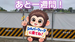 [Latest Footage] Monkey Mountain is under construction; you have just one week left to see Punch.
