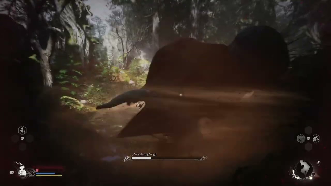 This is how you defeat Wandering wight 