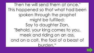 Passion of the Lord/Palm Sunday - 10 am March 29, 2026