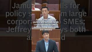 Jamus Lim calls for policy shifts from large corporations to SMEs; Jeffrey Siow says both are needed Jamus Lim calls for policy shifts from large corporations to SMEs; Jeffrey Siow says both are needed
