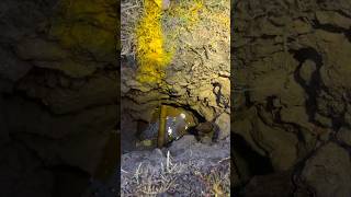 Famous Exposing Underground Gas Pipe using Potholing Method Net Worth