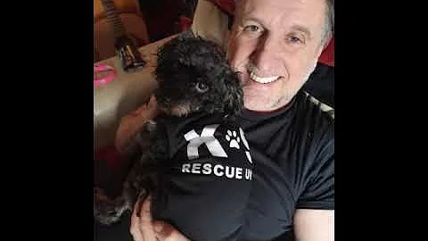 MY TRIBUTE TO A BEAUTIFUL PERSON. DANNY SUMMERS.