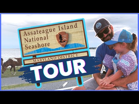 Vídeo: Ilha Assateague - Um Guia Nacional do Visitante à Beira-mar