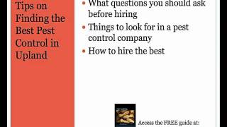 Pest Control Upland, CA