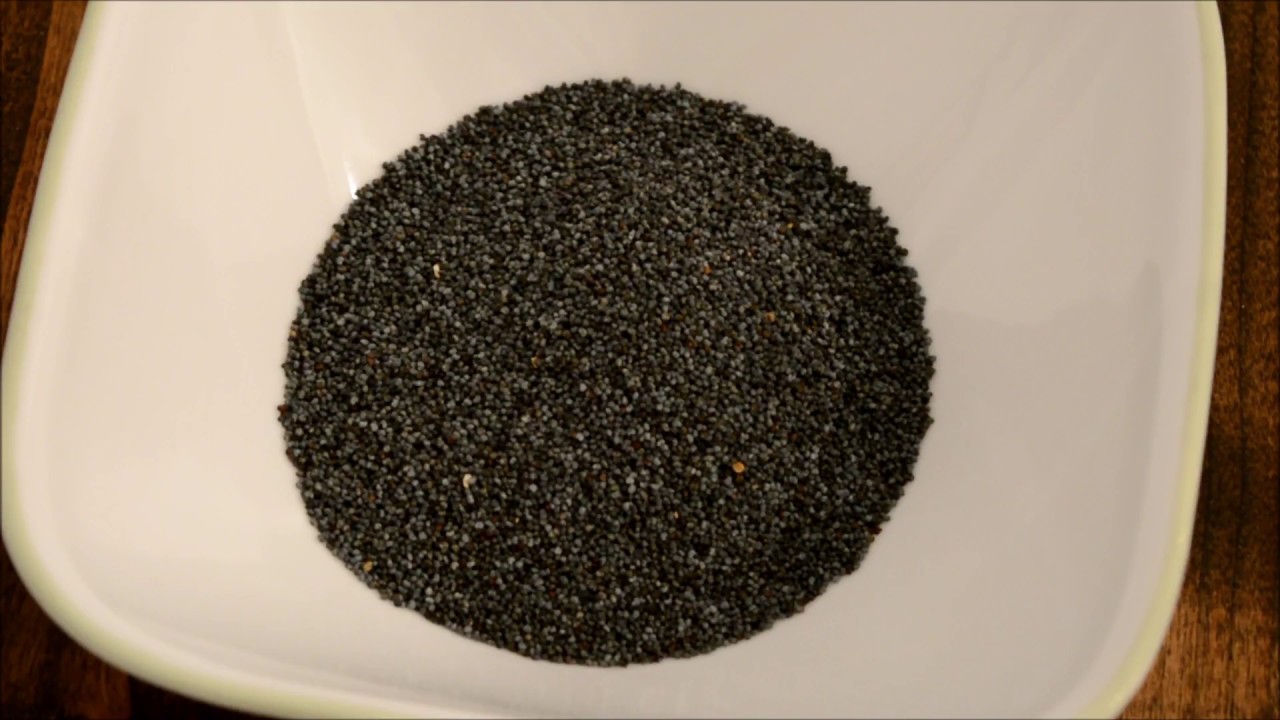 Best Recipe For Lemon Poppy Seed Cake Best Recipe For Lemon Poppy Seed Cake