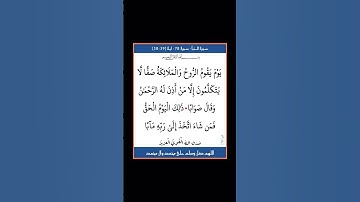 سورة النبا - سورة 78 - اية (39-38)