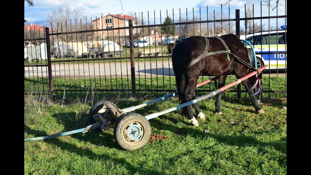 Сблъсък между каруца и пътнически влак край Сливен: 2 загинали