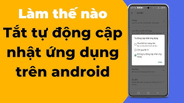tắt/mở tính năng tự động cập nhật ứng dụng trên điện thoại android - CH Play| DV Channel
