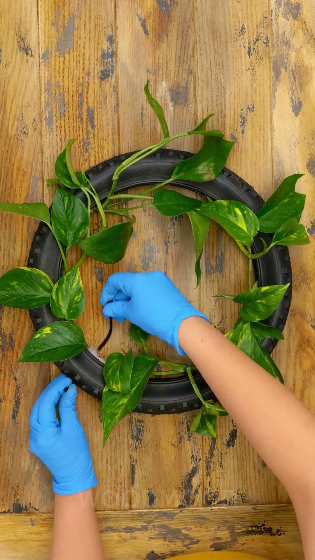 Fantastic Gardening Ideas to Maximize Your Small Space! ?