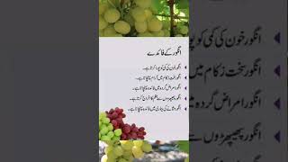 Benefits Of Graps In Urdu Ka Fayde Good For Health With Shahida