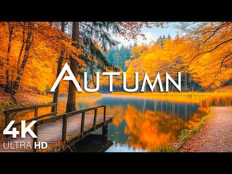 Beautiful September Autumn Forest 4K 🍁 Peaceful Nature Sounds, Healing Music & Deep Relaxation