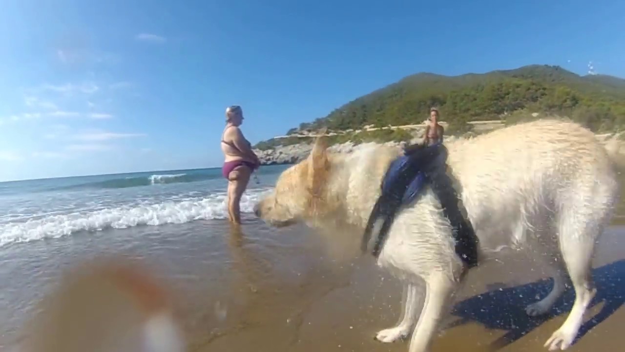 Playa de Vallcarca 2016 - Parte I