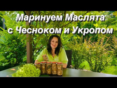 Заготовка Грибов на Зиму🫙Маринуем Маслята 🧄Очень Вкусный Рецепт