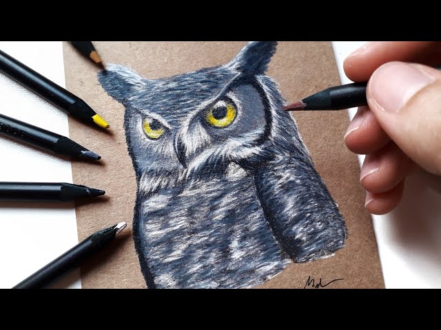 COMO FAZER UM DESENHO DE UM GATO REALISTA Passo a passo - LÁPIS DE COR  SUPER SOFT - TUTORIAL 