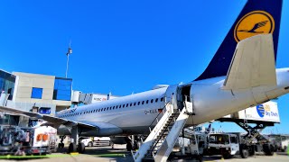 THE GREAT LUFTHANSA ON A SHORT HAUL FLIGHT - WHAT TO EXPECT | ZURICH-FRANKFURT | ECONOMY CLASS