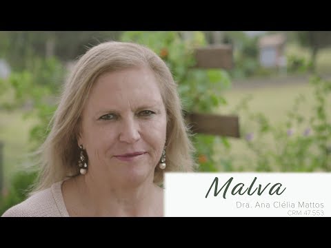 Vídeo: Malva Comum