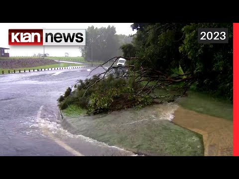 Video: Ku të shihni pinguinët në Zelandën e Re