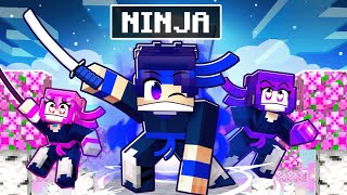 I HIRED NINJAS TO KILL MY CRAZY FAN GIRLS! (Minecraft)