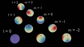 Celebrity Spherical Harmonics Visualization Wealth