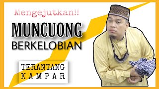 GAWAT TIO!! Sapi Kono Bantai di Terantang || Ustadz Bombom Makan Lomak