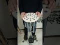 サイケデリックきらきら星 SPOT