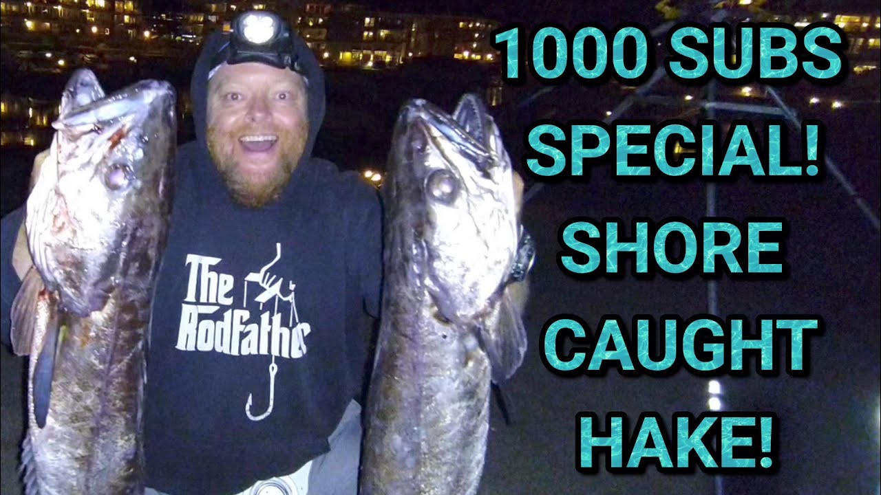 Shore caught Hake, 1000 SUBSCRIBES SPECIAL, Norway