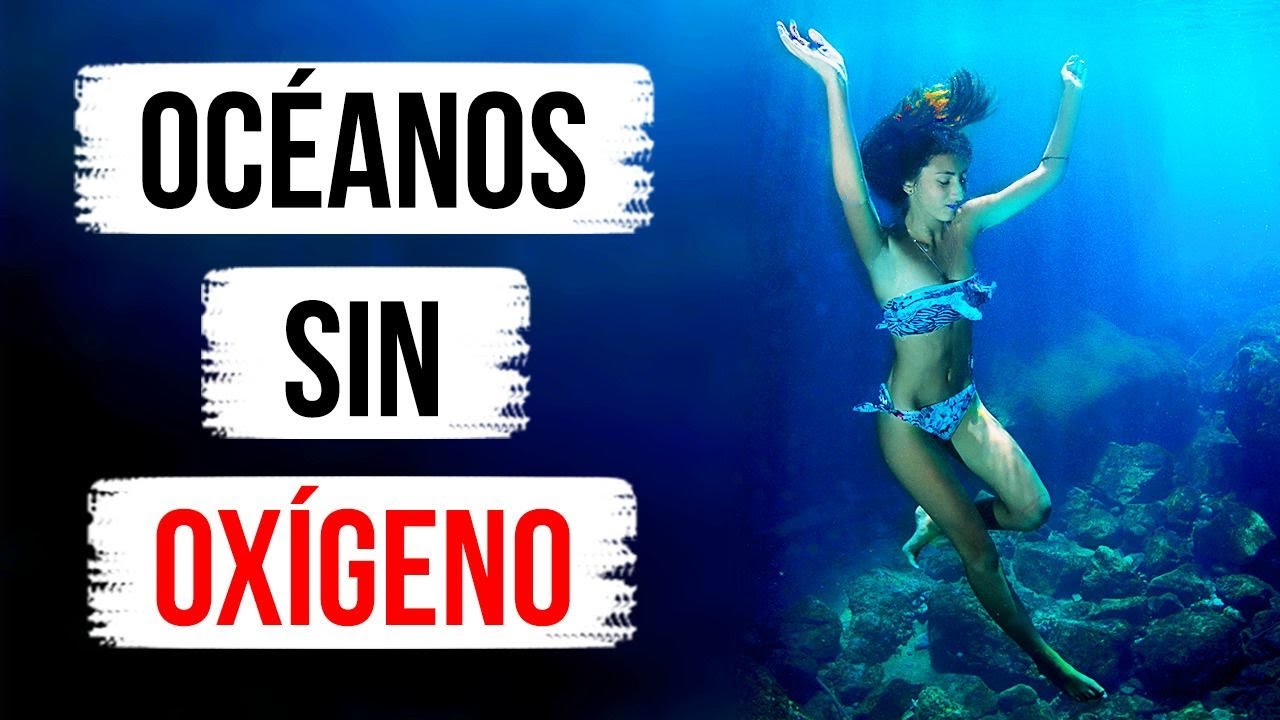 �Qu� pasar�a si los oc�anos se quedaran sin ox�geno ma�ana?