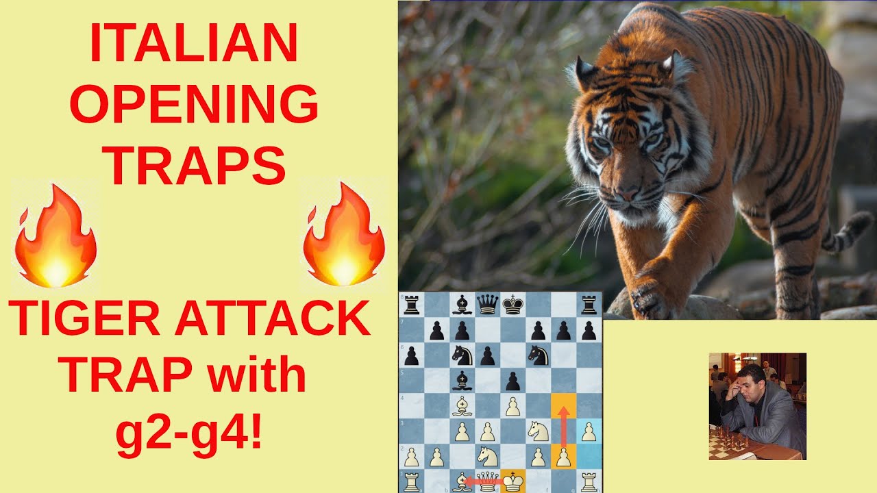 OPENINGS  TIGER CHESS