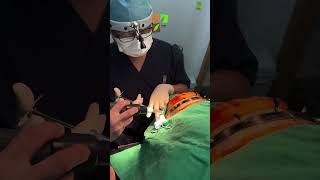 Were Here To Bring Your Confidence Back L Root Clinic L Hair Transplant