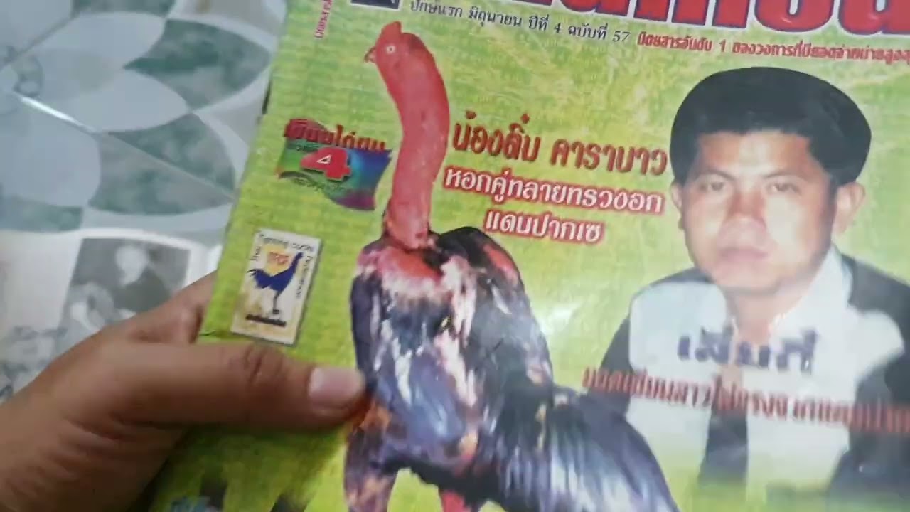 Chú Bảy Quéo chia sẻ về nhưng kỷ niệm và thành quả trong quá trình chơi gà nòi