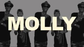 Tyga ft Wiz Khalifa   Mally Mall - Molly NEW 2013)