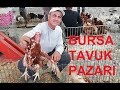 Bursa Tavuk Pazarında Bu Hafta - Bursa Güvercin Pazarı 3.Bölüm