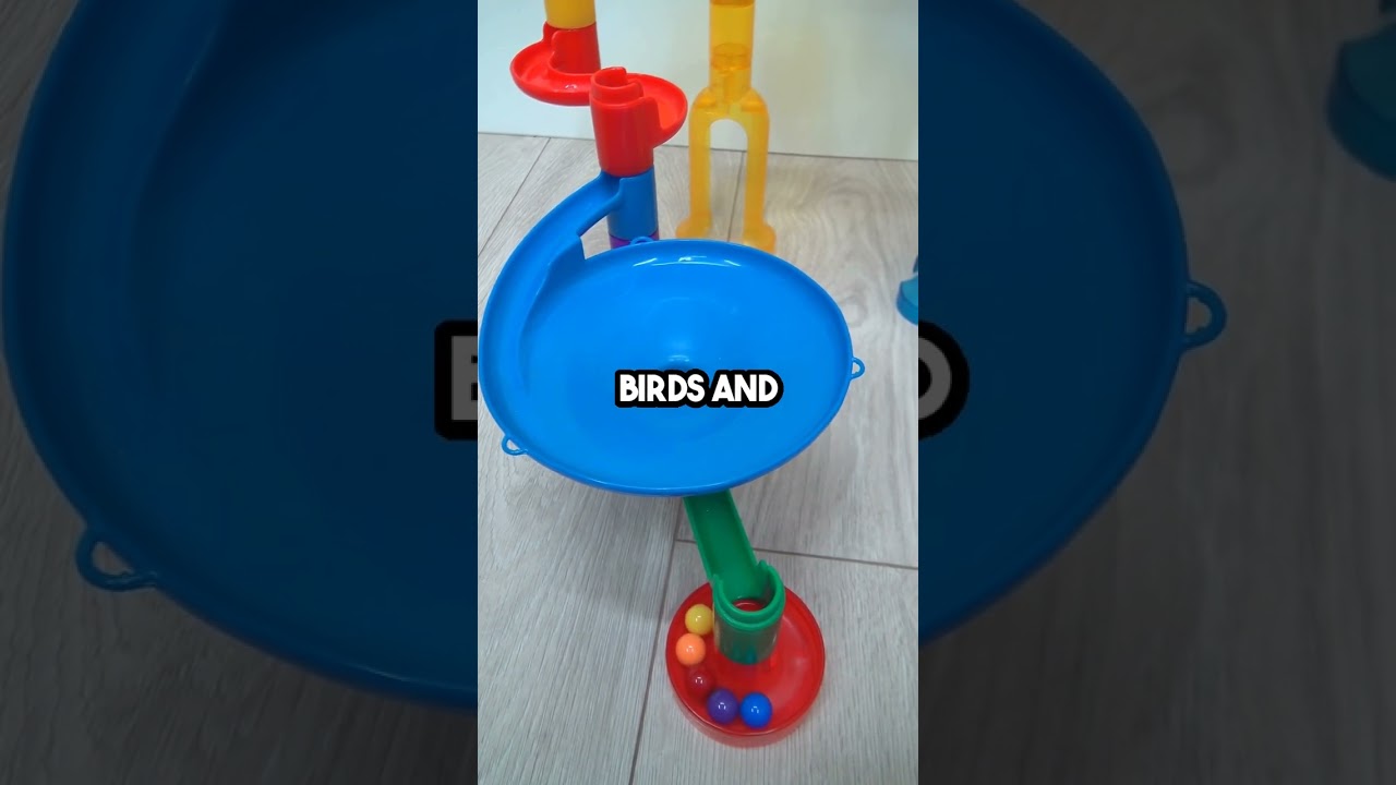 Discover Tanzania's Alkaline Lake: Where Animals Turn to Stone! 