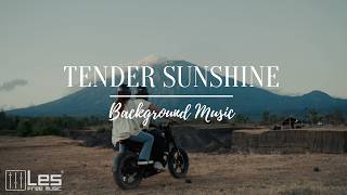 Tender Sunshine : Solo Piano Calm Relaxing Background Music screenshot 2