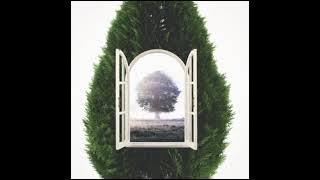 Aqua Timez - We must