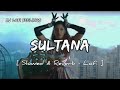 Sultana Slowed Reverb Sunidhi Chauhan New Hindi Song 