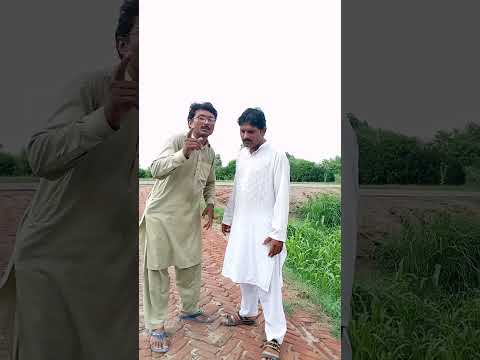پنڈی کا دادا کیسے فوت ہوا    